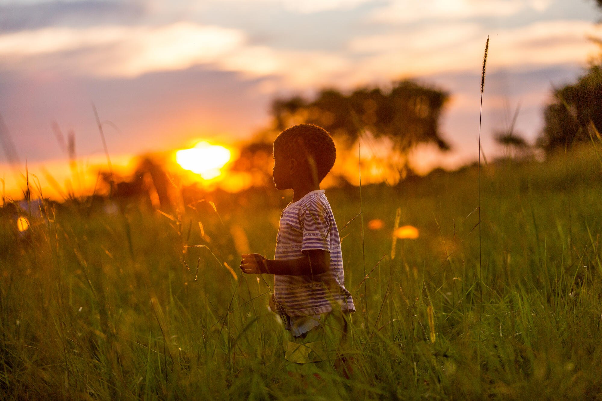 Pieni sambialainen poika seisoo pellolla auringonlaskussa.