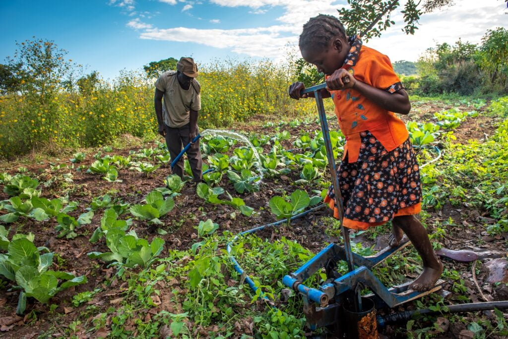 Sambialainen tyttö auttomassa isänsä pellolla.