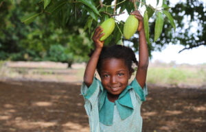 Hymyilevä tyttö seisoo hedelmäpuun alla ja pitää kiinni pään yllä olevista, puusta roikkuvista hedelmistä.
