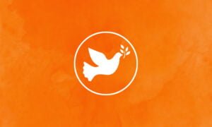 Ikoni rauhankyyhkystä oranssia taustaa vasten.